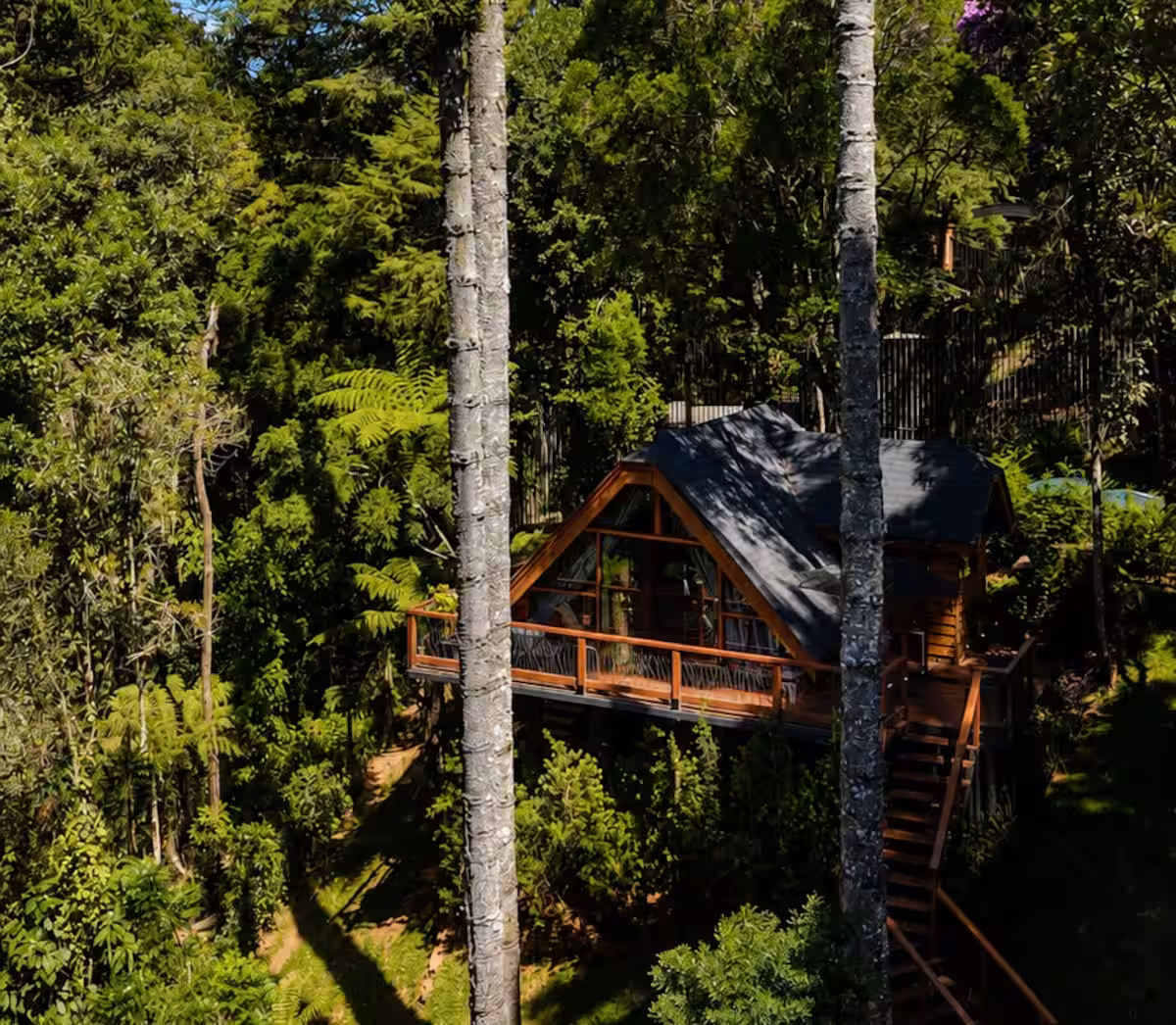 A cabana entre os troncos altos da mata nativa de Campos do Jordão