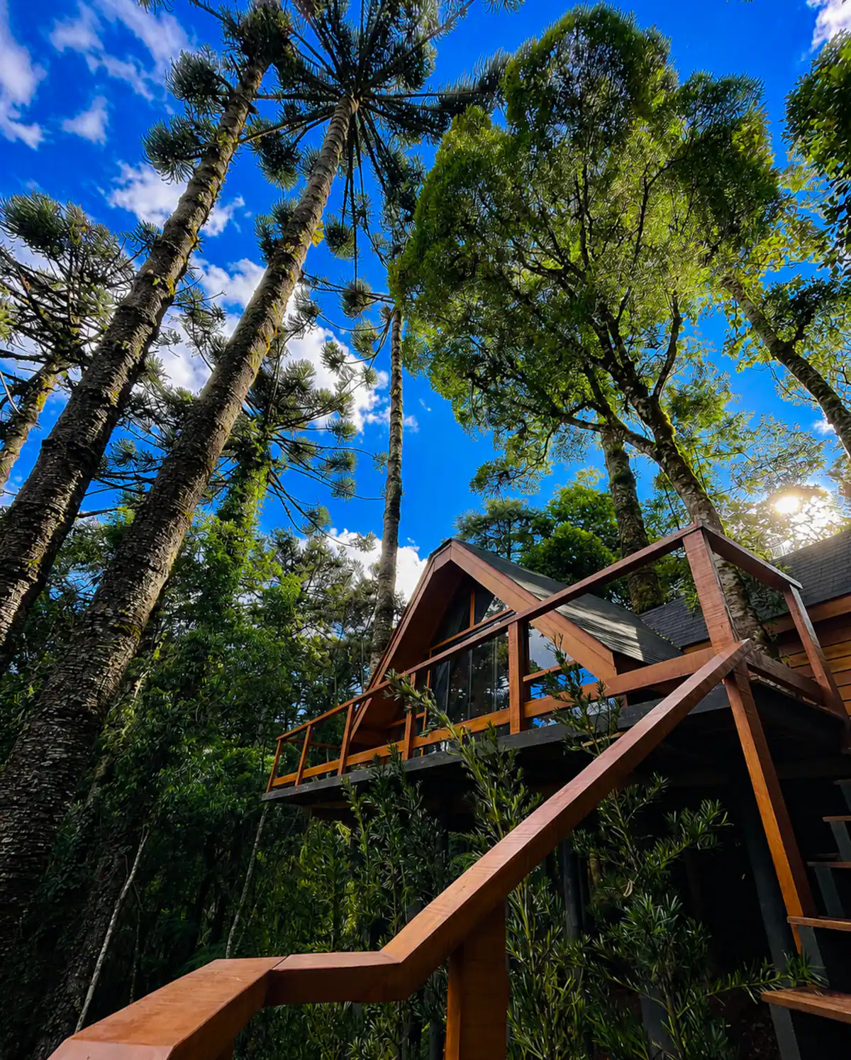 Fachada A-Frame da cabana cercada pela mata, sob o céu azul
