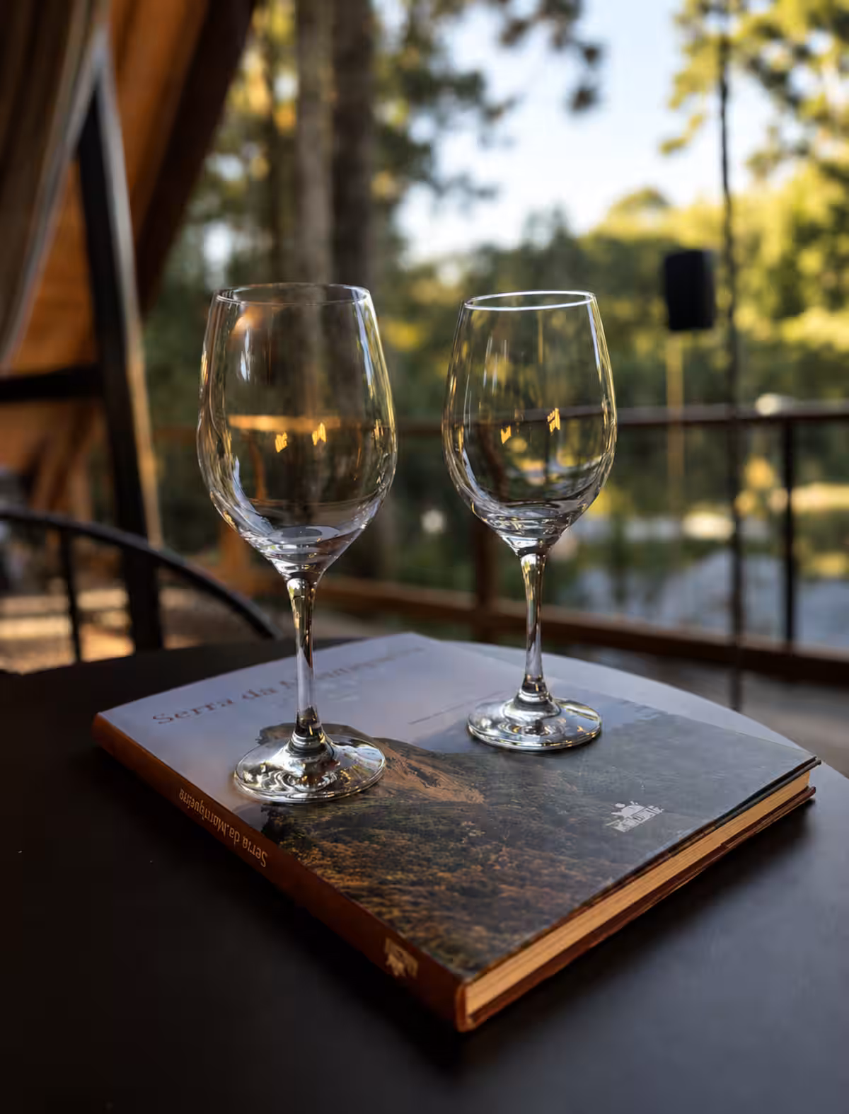 Brinde com duas taças de vinho diante da mata